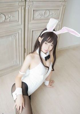 铃与枫动漫_4K免费播放